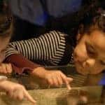 Children in a museum