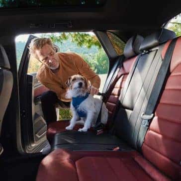 2020 VW Atlas Cross Sport Back Seat