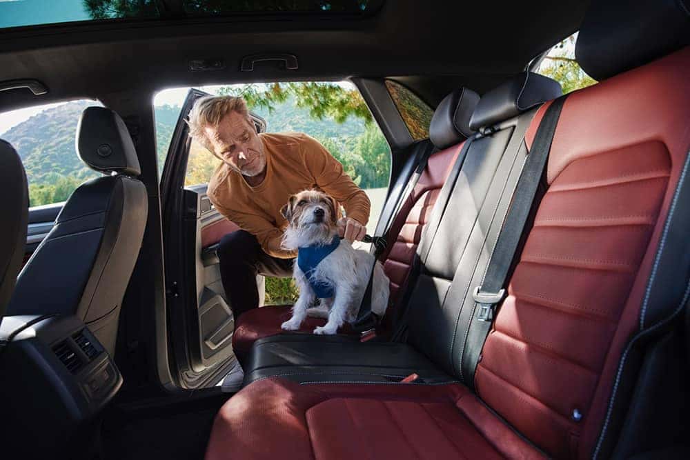 2020 VW Atlas Cross Sport Back Seat
