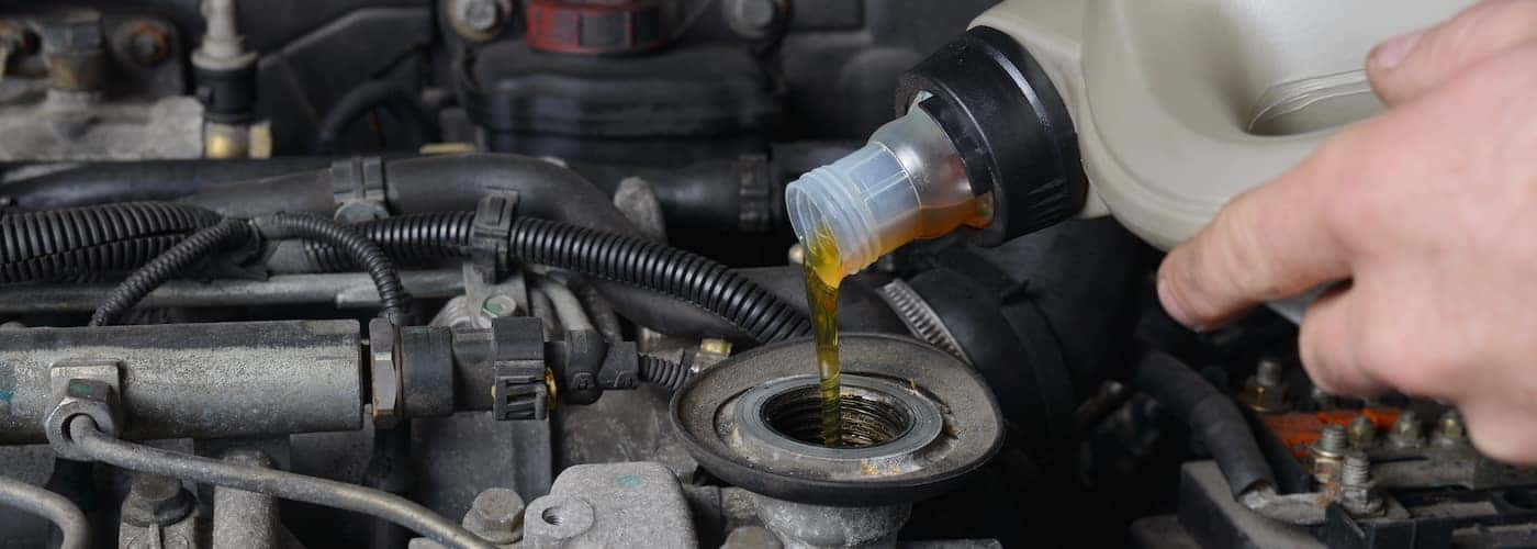 Vw oil 2024 change price