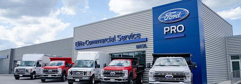 Basil-Ford-Commercial--web-