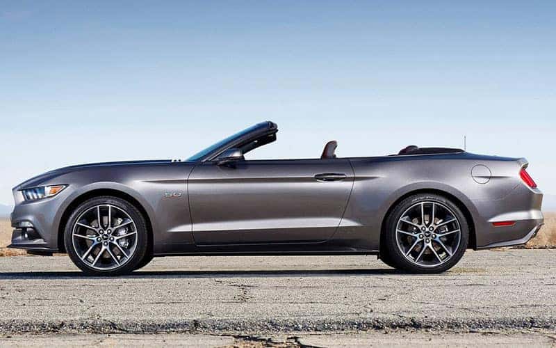 Best Used Ford Models To Buy Basil Cars