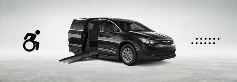 basil mobility background