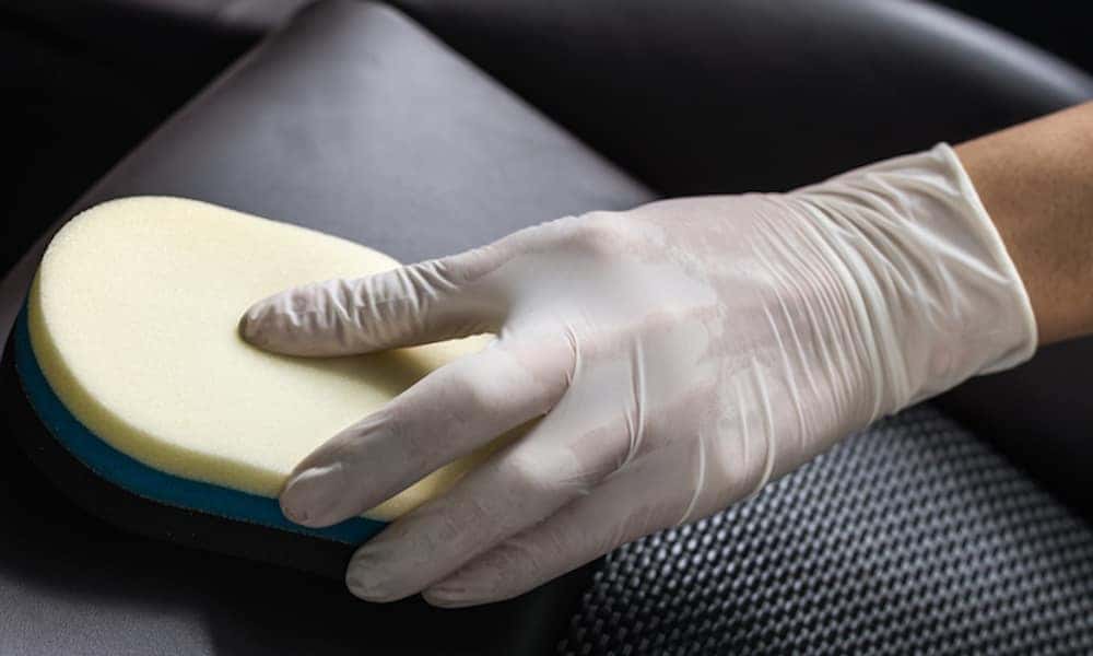 How to Get Rid of Car Mold Car Mold Removal Basil Resale Sheridan