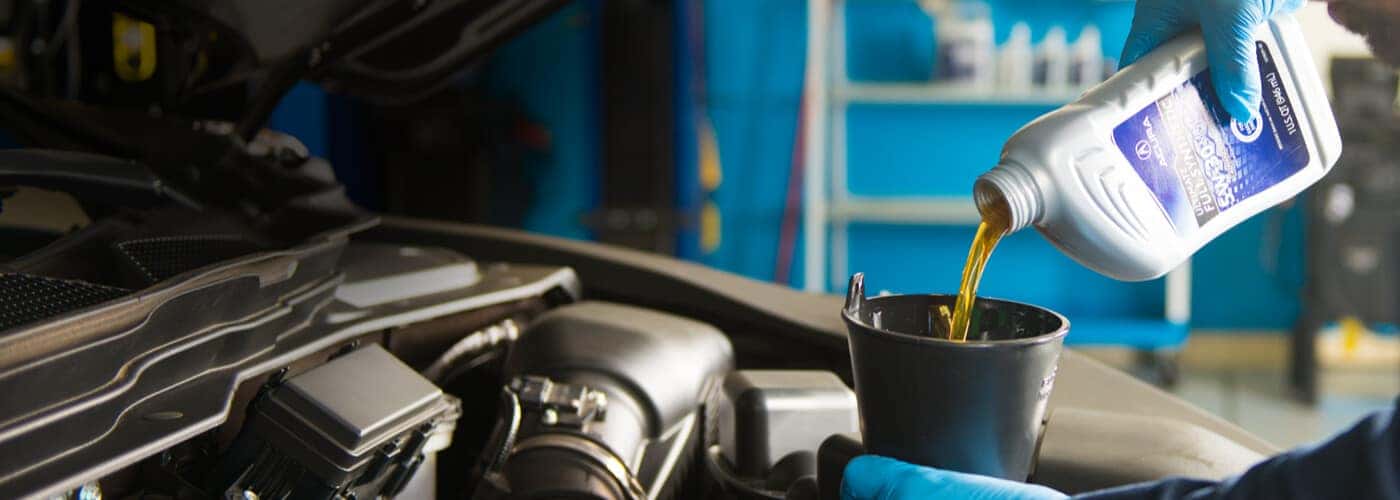 Service Specials Williamsville NY Basil Resale Sheridan