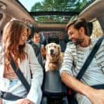 cars for families