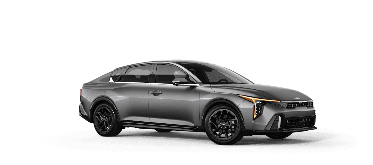 Steel Gray