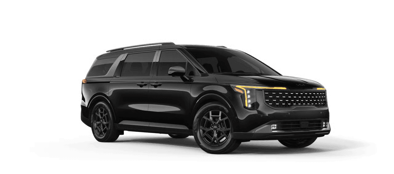Aurora Black Pearl