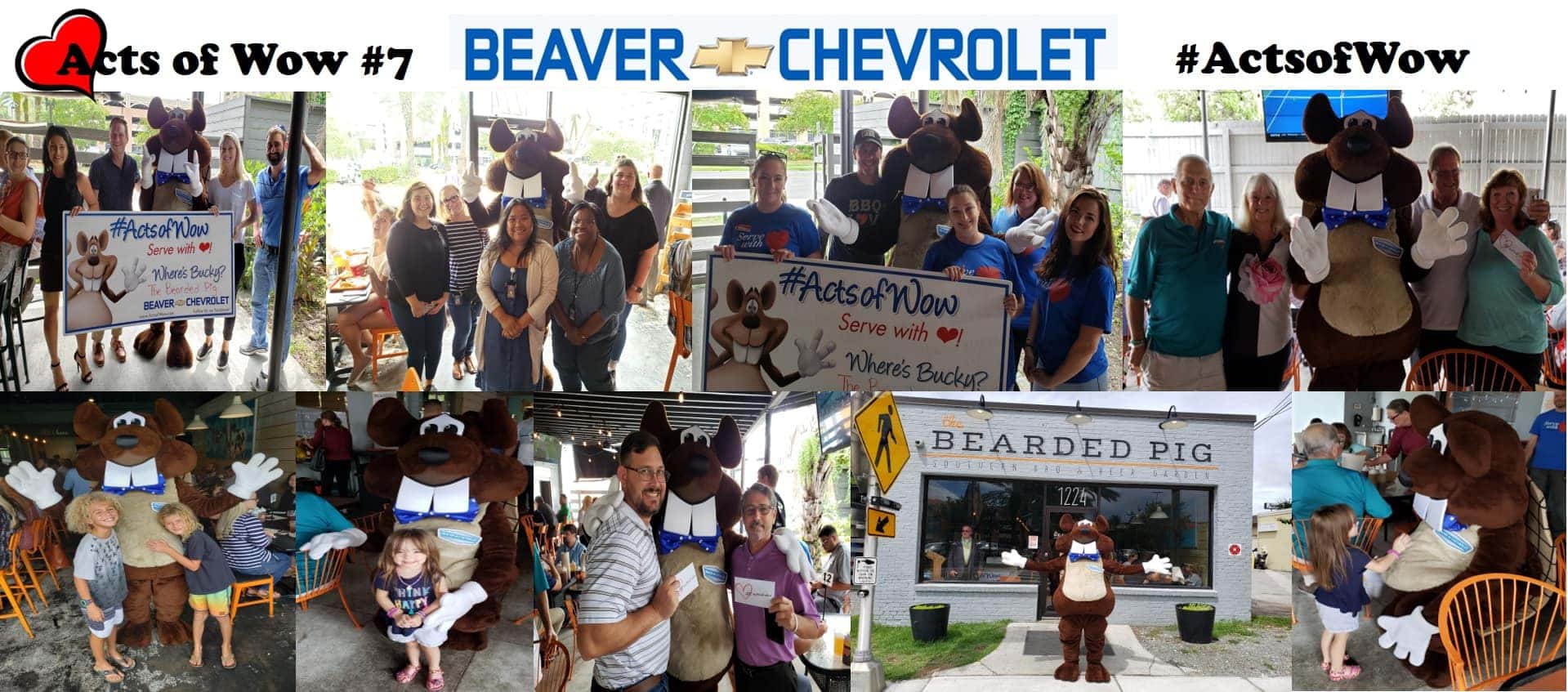 100 Free Lunches at The Bearded Pig: Beaver Acts of Wow 7 | Beaver