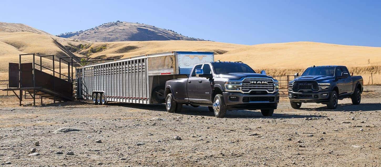 Two RAM 3500 trucks parked on a ranch, one towing a large livestock trailer, showcasing heavy-duty towing capability. Available at Bernard Northtown.