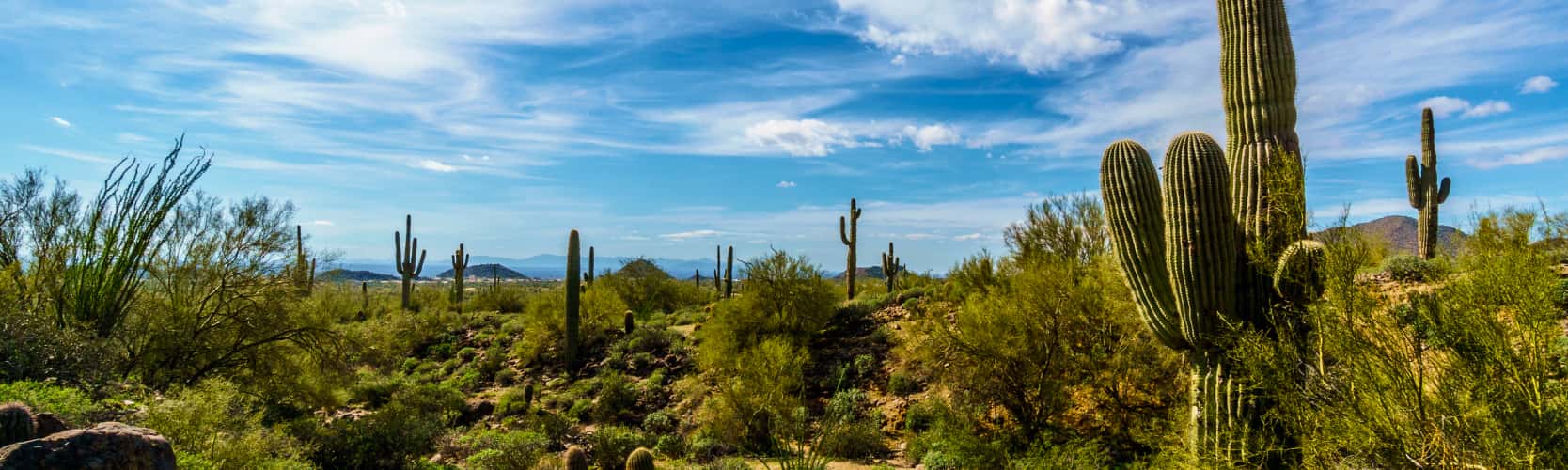 Desert horizon near Maricopa, Arizona