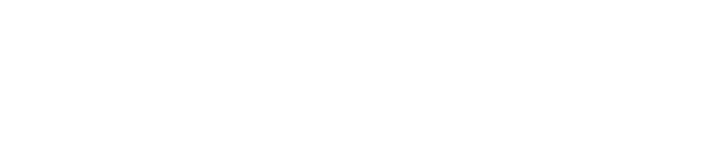ValleyTintLogo - white