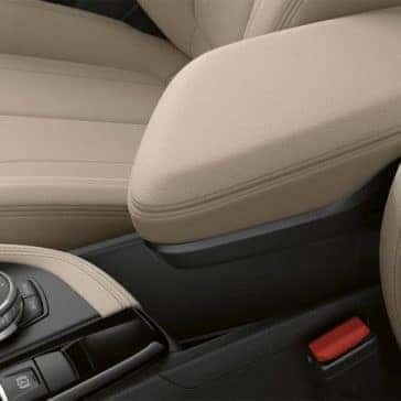 2018 BMW X2 Closeup of Interior Features