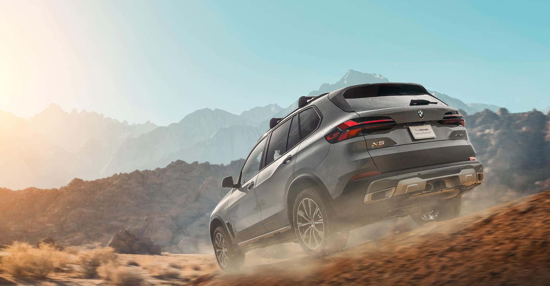 2025 BMW X5
