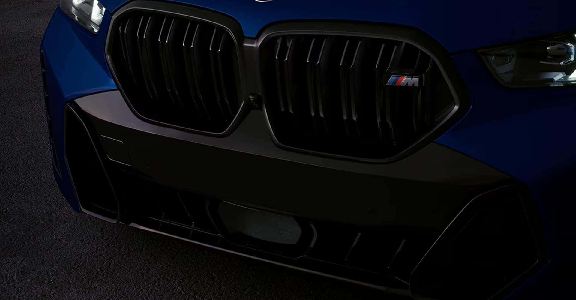 2026 BMW X6