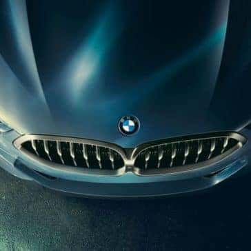 2019 BMW 8 Series hood
