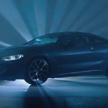 2019 BMW 8 Series in front of light
