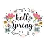 hello spring vector background