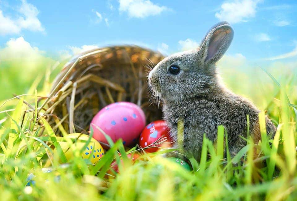 Local Easter Activities | Mercedes-Benz of Smithtown