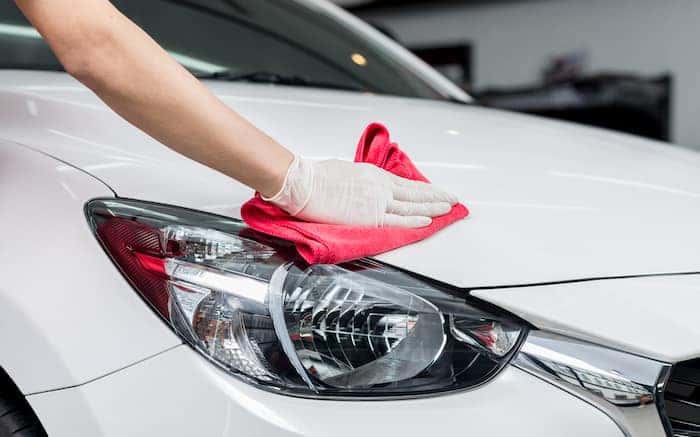 Car Paint Protection