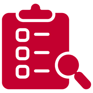 inspection icon