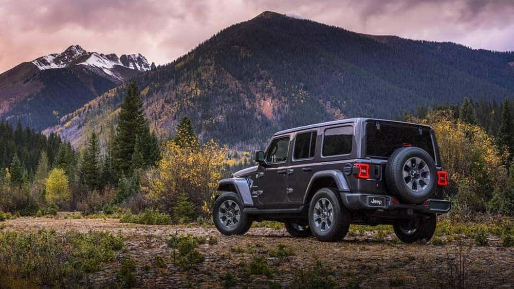 2019 Jeep Wrangler Rear