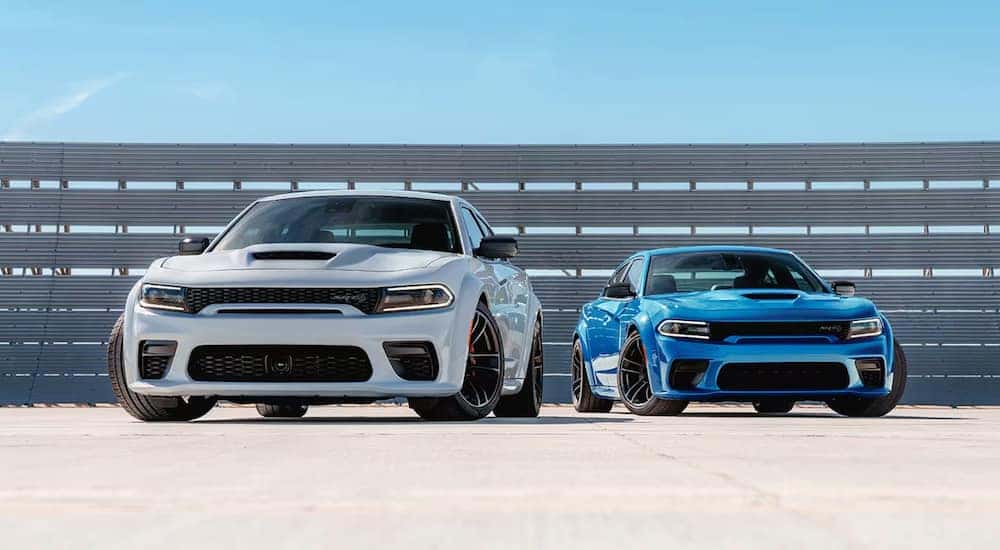 A white and a blue 2023 Dodge Charger SRT Hellcat Redeye Jailbreak are shown parked near a Dodge dealership.