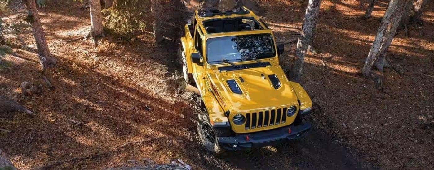 A popular Jeep Wrangler for sale, a yellow 2019 Jeep Wrangler Rubicon, is shown parked off-road.
