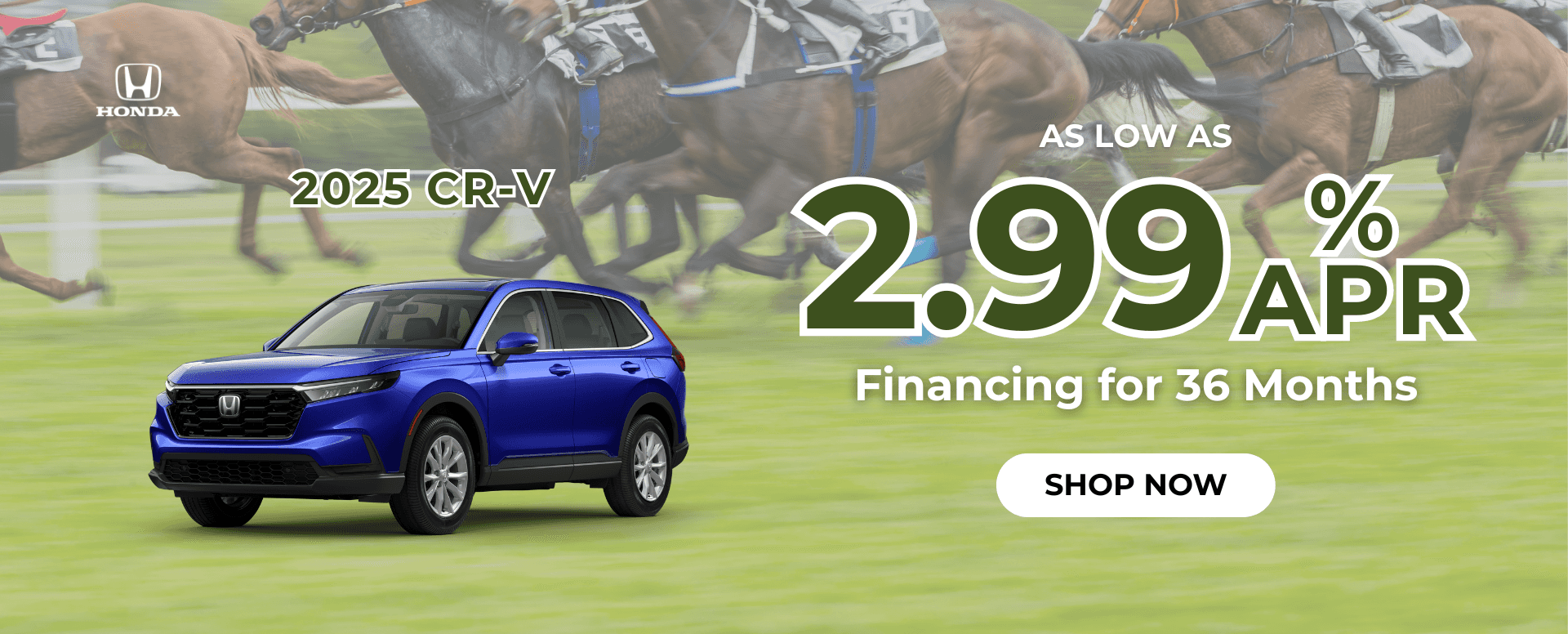 CR-V-horse-racing-theme
