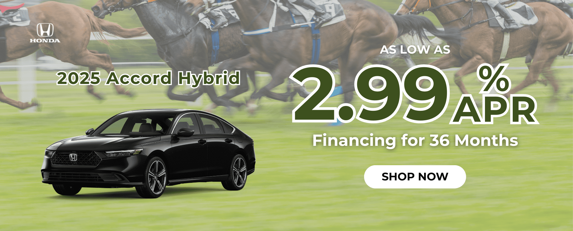 accord-hybrid-horse-racing-theme