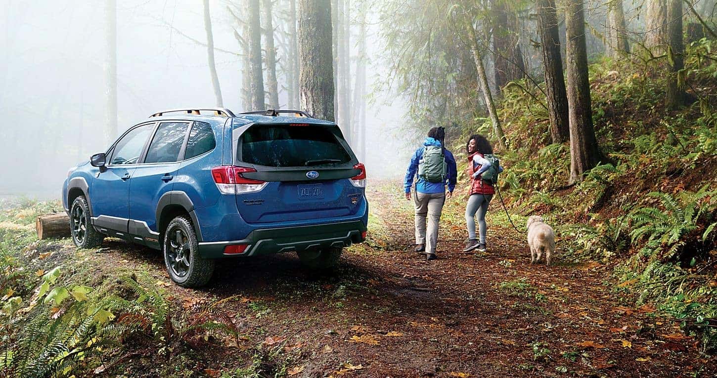 2024 Subaru Forester Wilderness