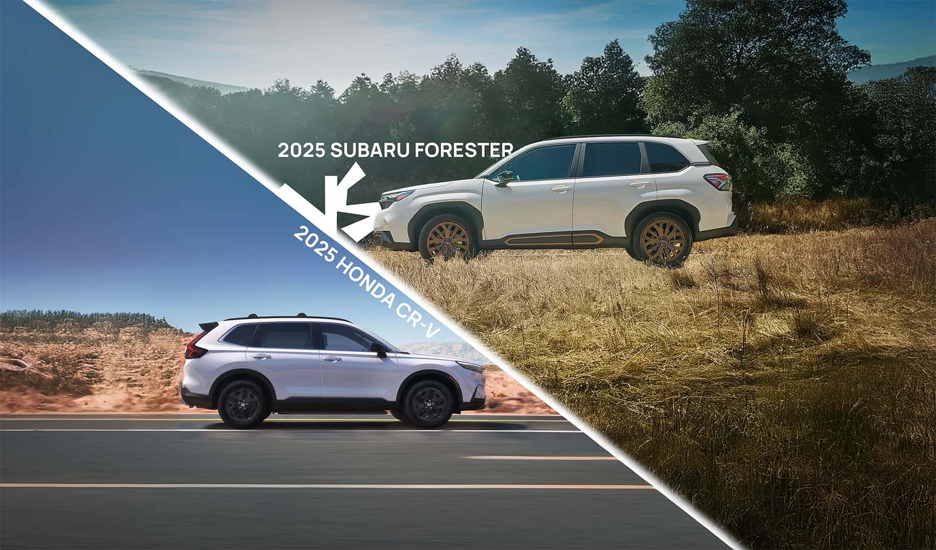 2025 Subaru Forester vs Honda CR-V