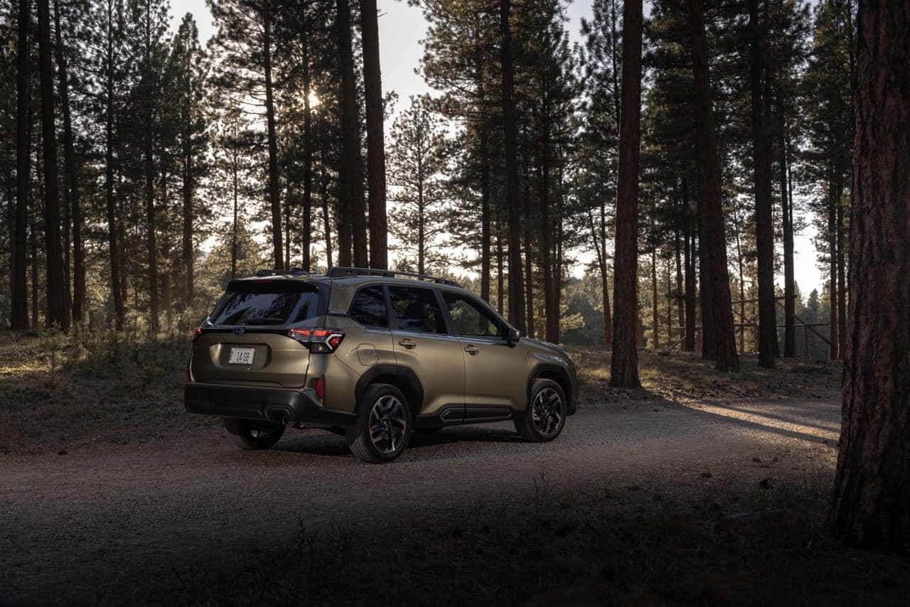 2025 Subaru Forester Trim Levels