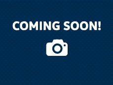 2019 Volkswagen Jetta SE