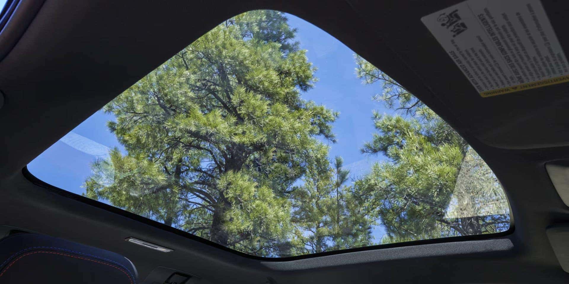 A view through the Chevrolet Silverado EV's panoramic glass roof, showing blue skies and green trees.