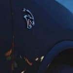 Hellcat Kendall Dodge