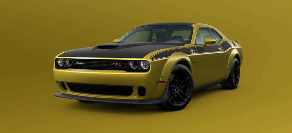 Drive The Most Golden Dodge Challenger Ever Built Kendall Dodge Chrysler Jeep Ram Drive The Most Golden Dodge Challenger Ever Built