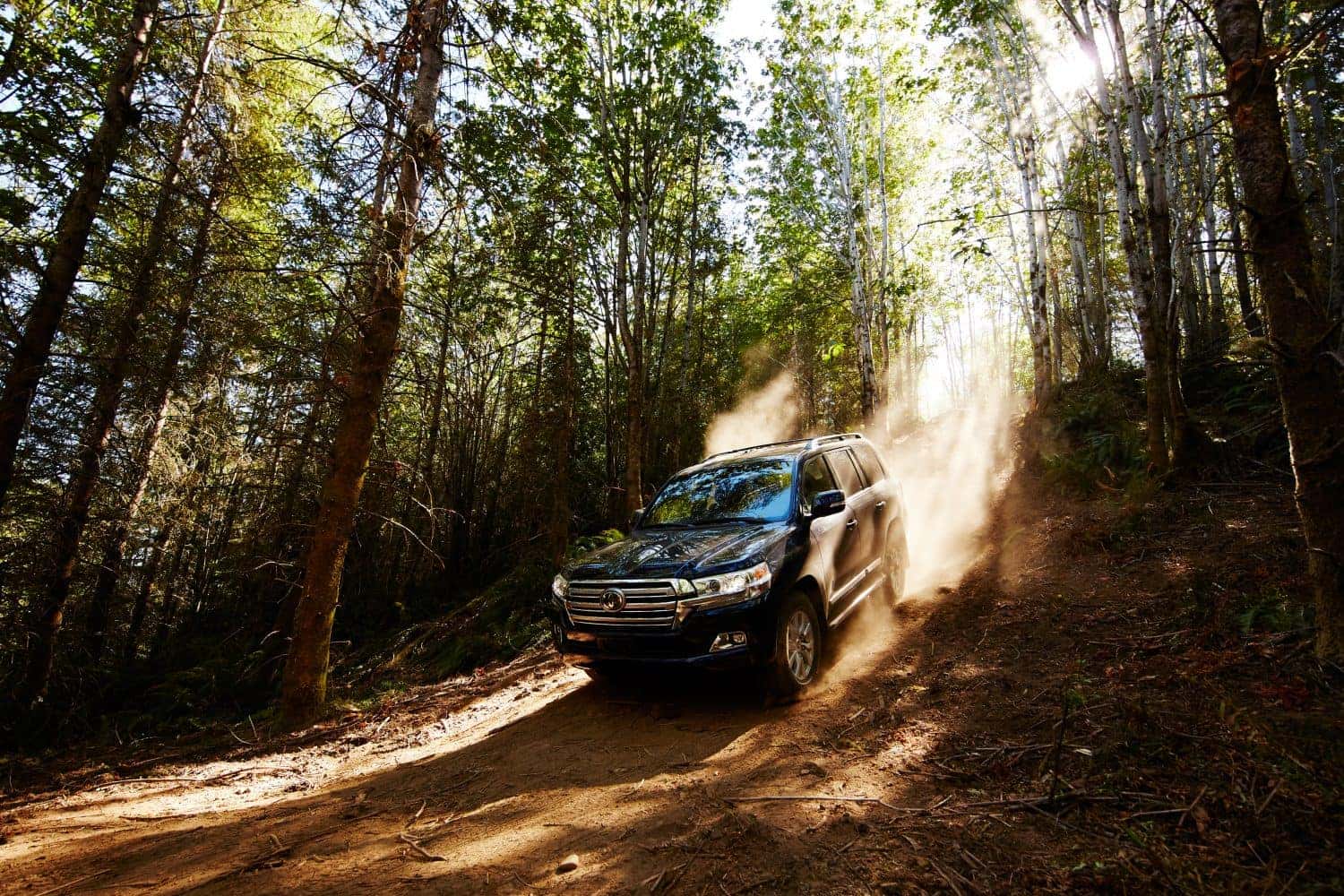 Land Cruiser