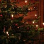 Christmas tree