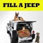 Image of pets sitting on a white jeep with pet food in the trunk.