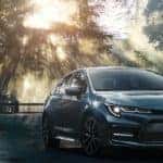 2020 Corolla in the woods