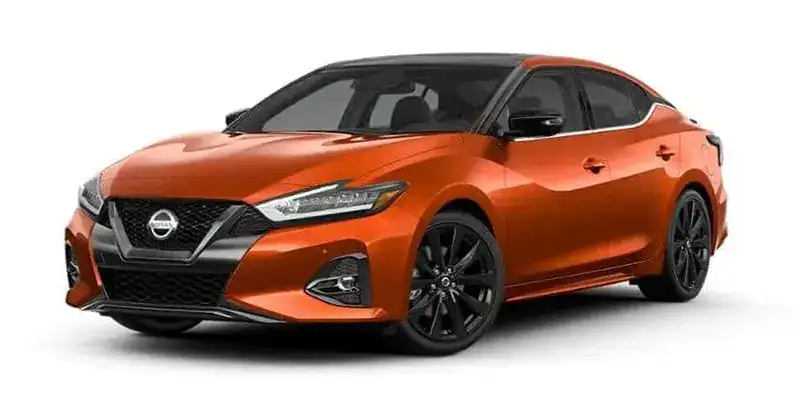 Maxima