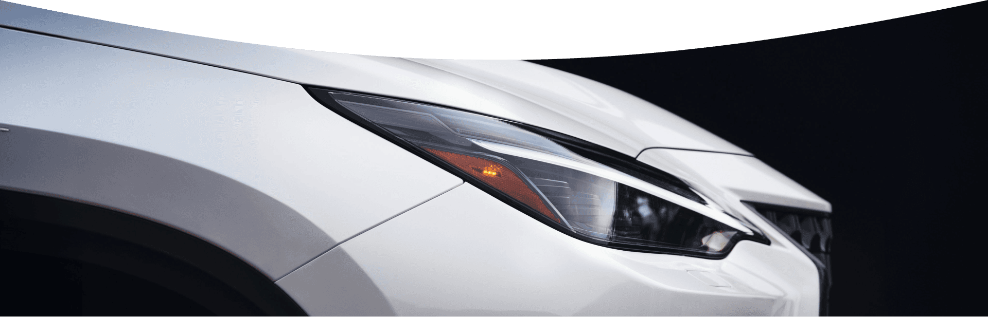 white lexus profile