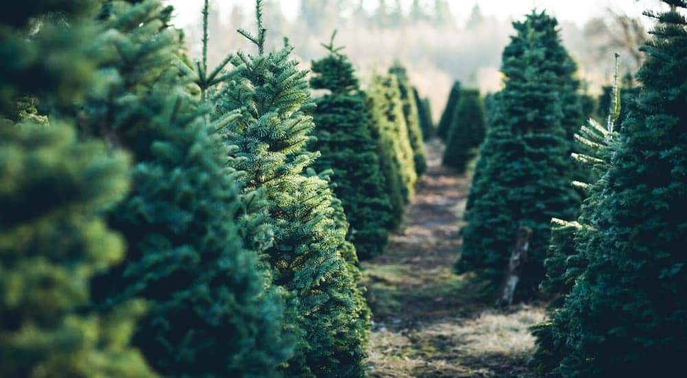 Tips for Christmas Shopping in the Greater Atlanta, GA Area