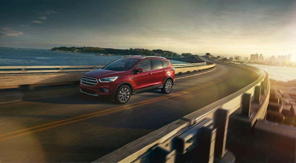 A popular used SUV near you, a red 2017 Ford Escape, is driving on a bridge away from a city.