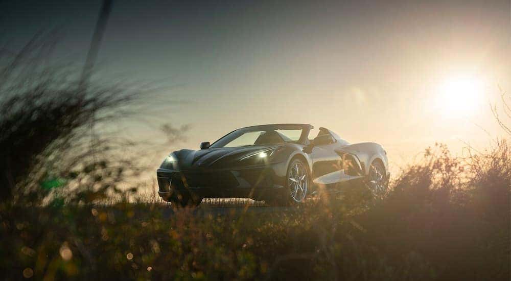A black 2020 Chevy Corvette is shown parked on the grass at sunset.