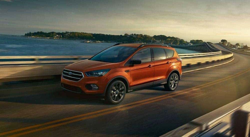 An orange 2019 Ford Escape is shown driving next to an ocean.