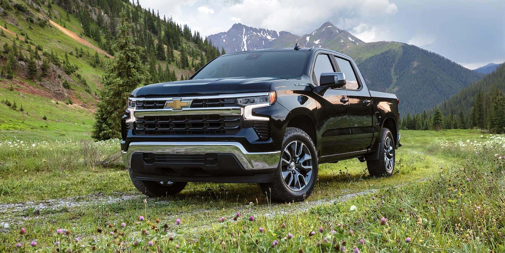 A black 2022 Chevy Silverado 1500 is shown parked in an open field.