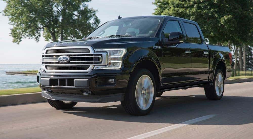 A black 2019 Ford F-150 is shown from the side driving on an open road.