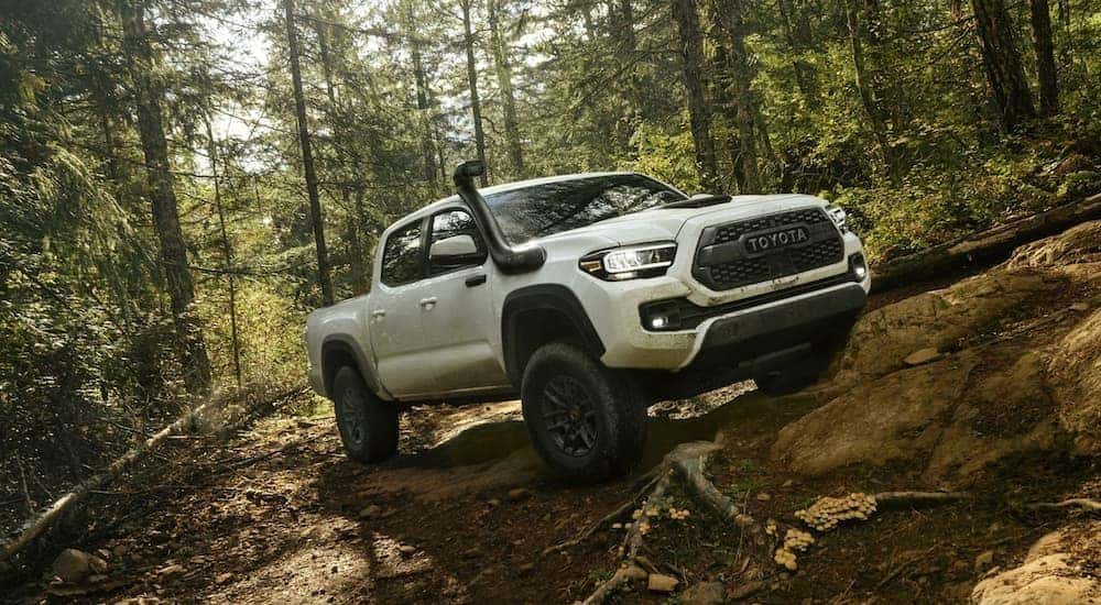 One of the most popular used lifted trucks for sale, a white 2020 Toyota Tacoma TRD Pro, is shown off-roading in the woods.